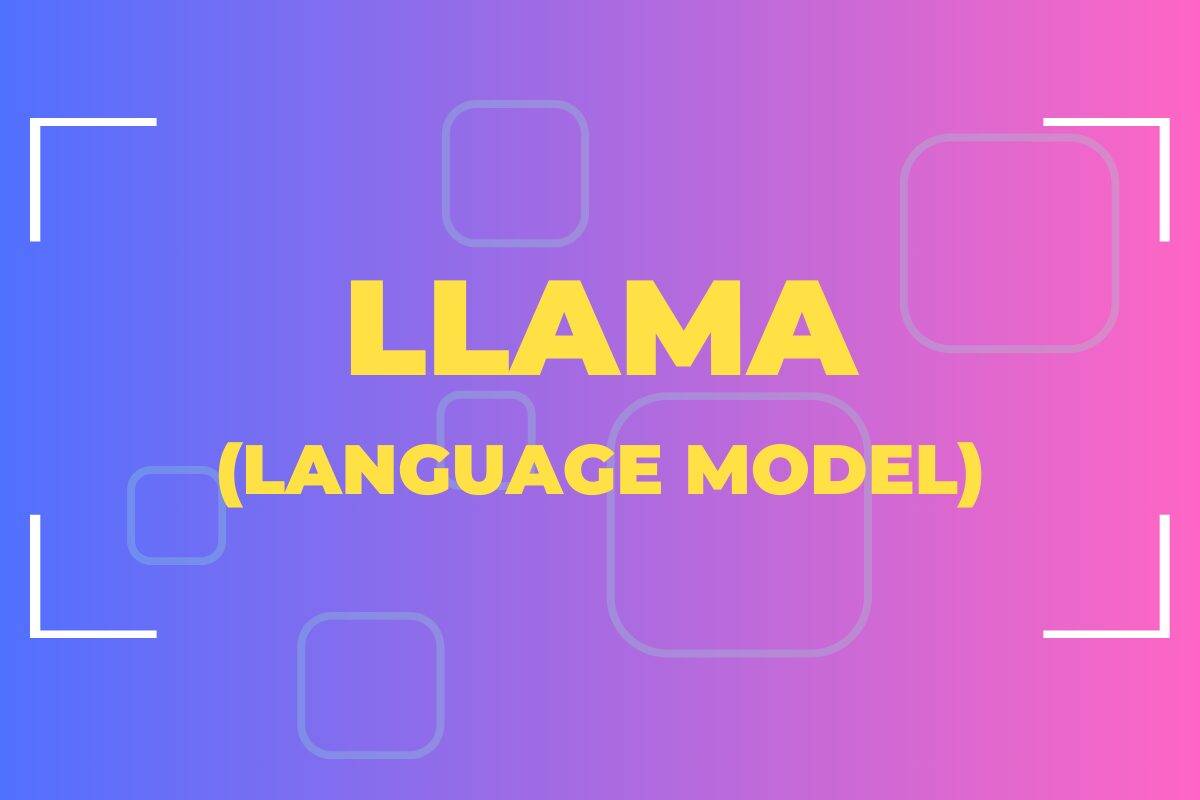 llama